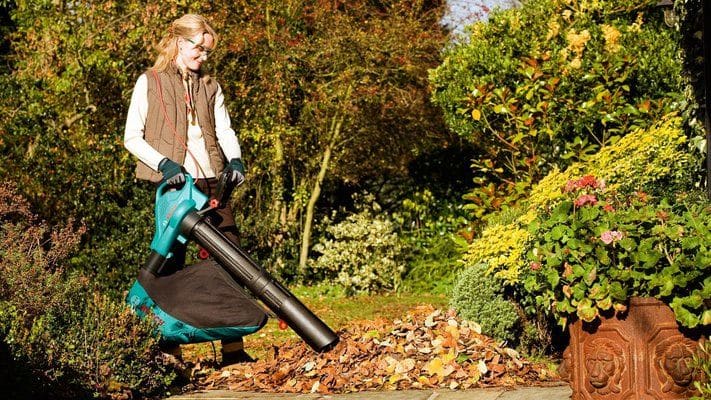 Best Cordless Garden Vacuum