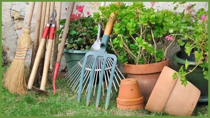 Essential Gardening Tools List